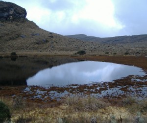 Páramo Sumapaz. Source: Flickr.com